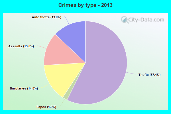 Crimes by type - 2013