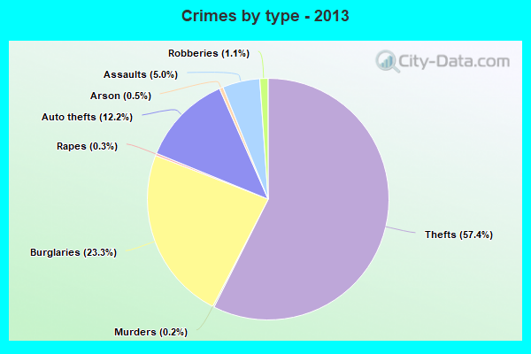 Crimes by type - 2013