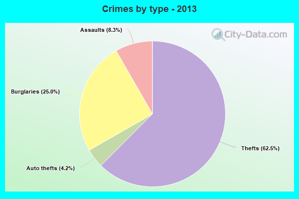 Crimes by type - 2013