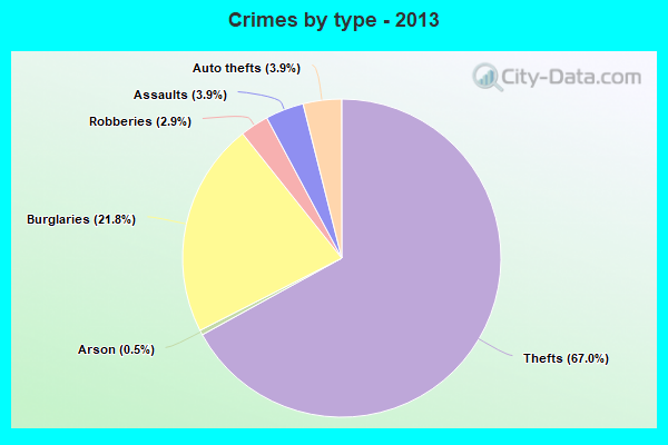 Crimes by type - 2013