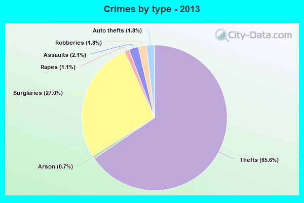 Crimes by type - 2013