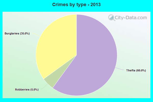 Crimes by type - 2013