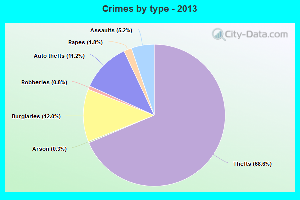 Crimes by type - 2013