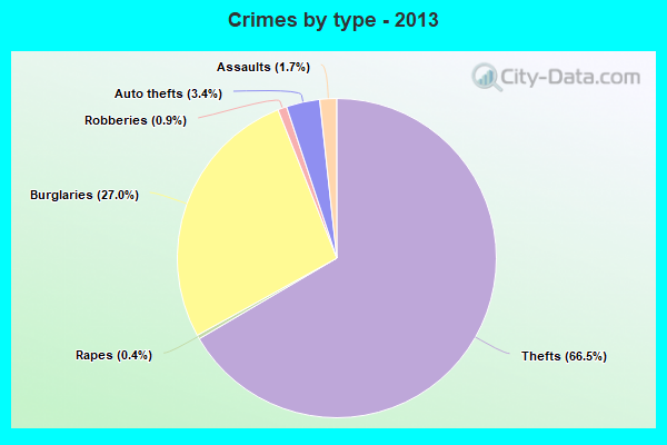 Crimes by type - 2013