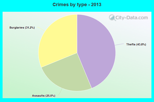 Crimes by type - 2013