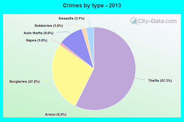 Crimes by type - 2013