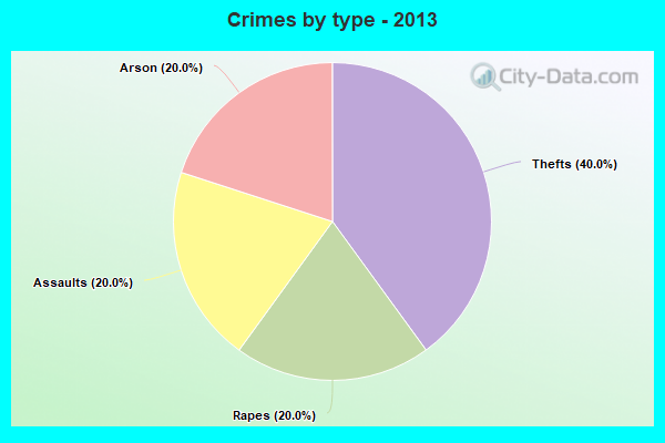 Crimes by type - 2013