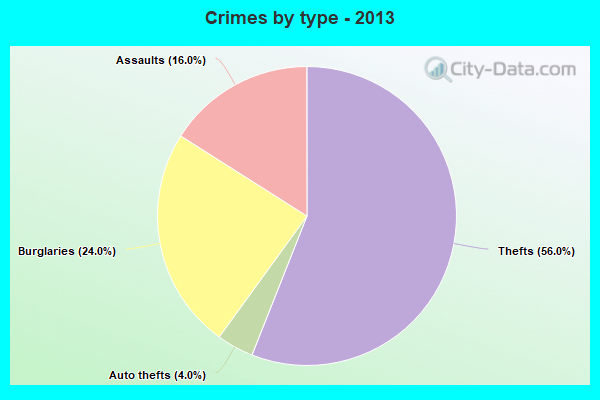 Crimes by type - 2013