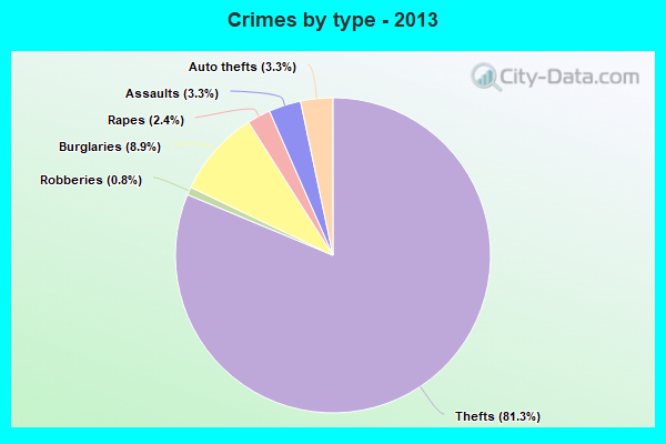 Crimes by type - 2013