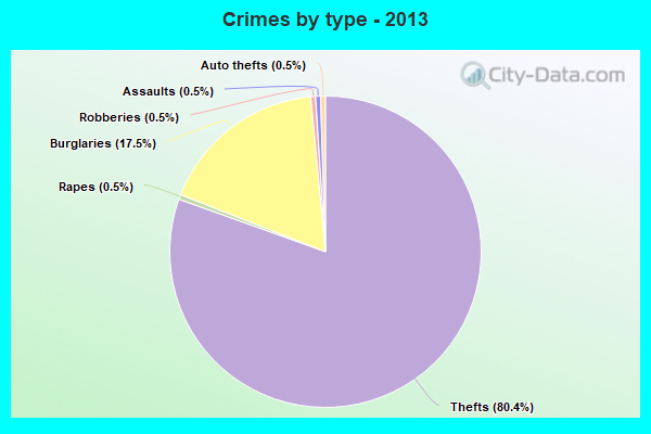 Crimes by type - 2013