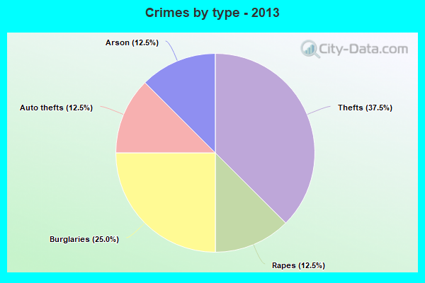 Crimes by type - 2013