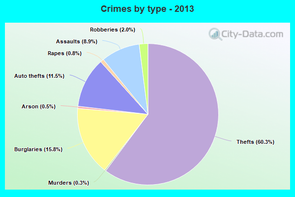 Crimes by type - 2013