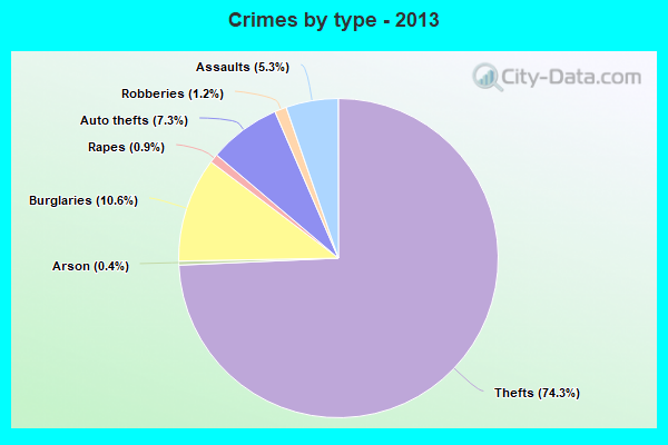 Crimes by type - 2013