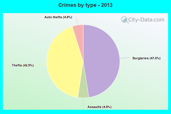 Crimes by type - 2013