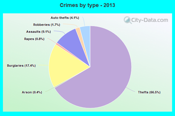 Crimes by type - 2013