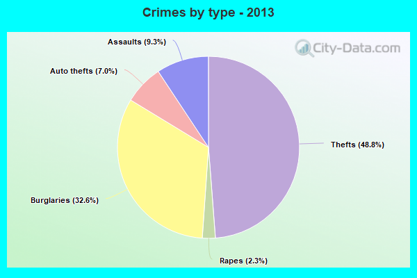 Crimes by type - 2013