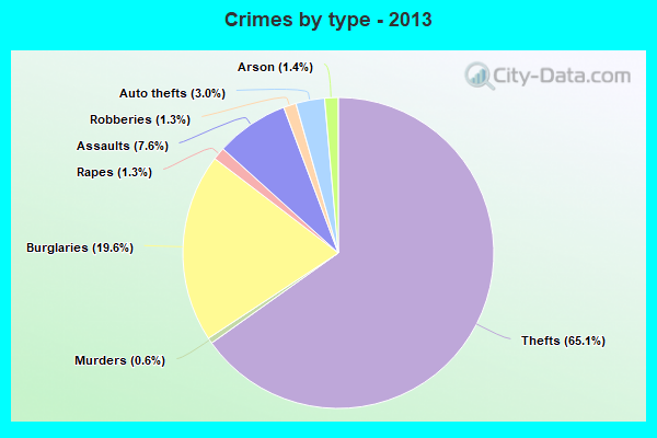 Crimes by type - 2013