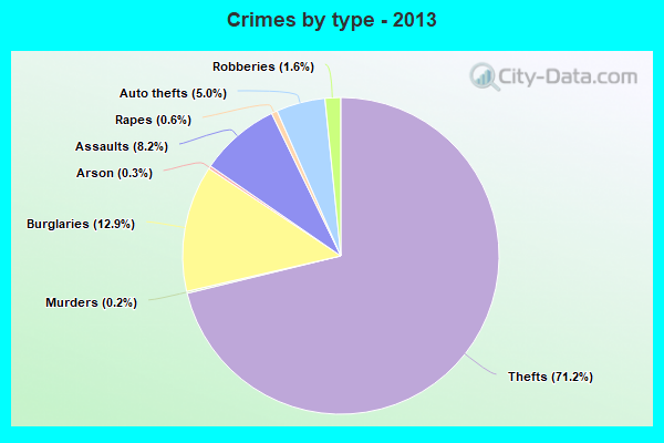 Crimes by type - 2013