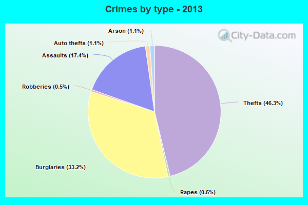 Crimes by type - 2013