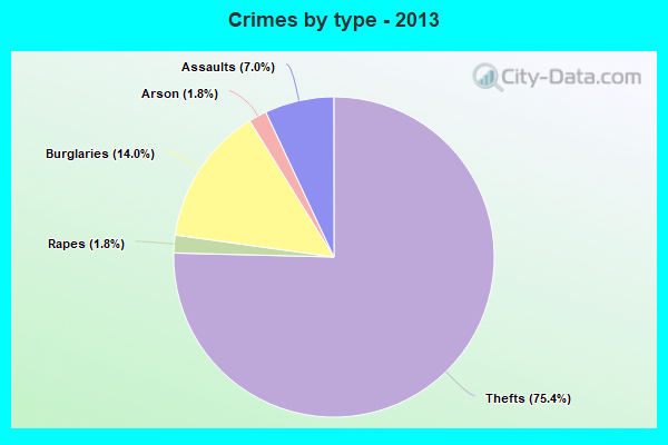 Crimes by type - 2013