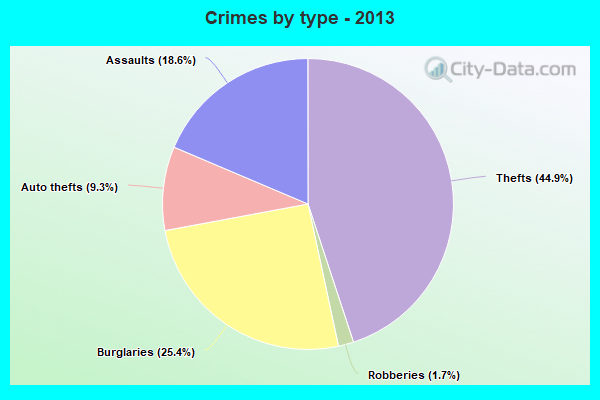 Crimes by type - 2013