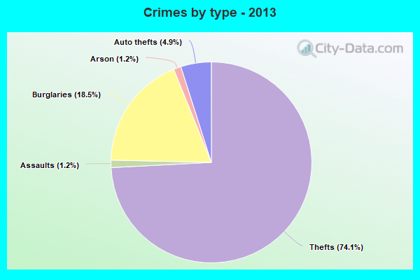 Crimes by type - 2013