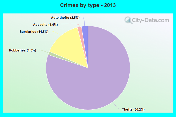 Crimes by type - 2013