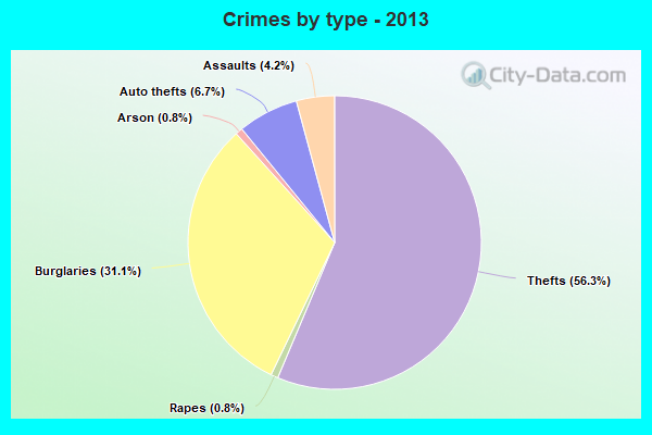 Crimes by type - 2013