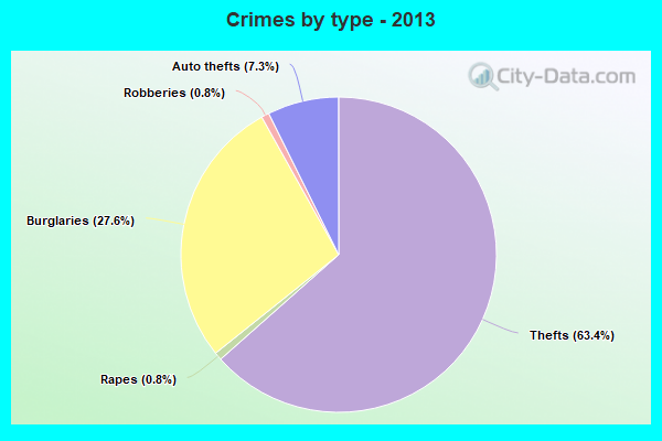 Crimes by type - 2013