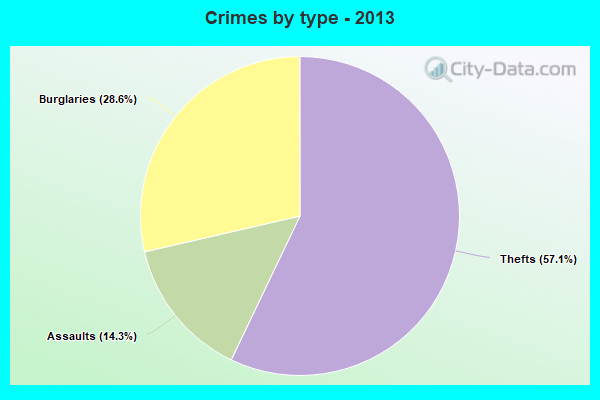 Crimes by type - 2013