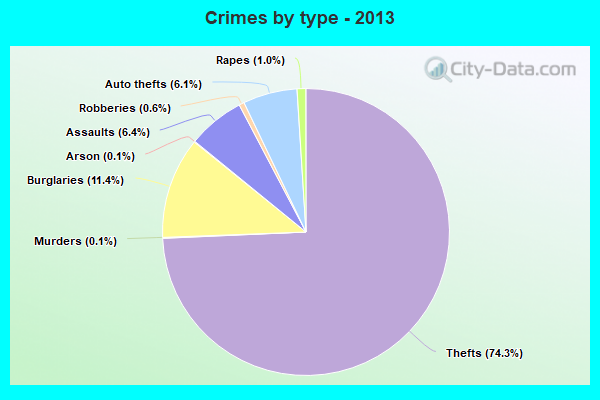 Crimes by type - 2013