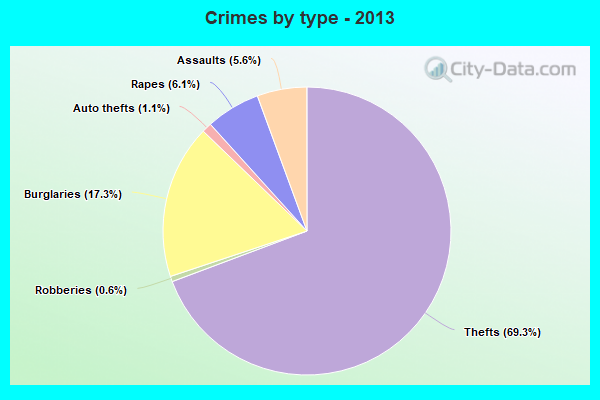 Crimes by type - 2013