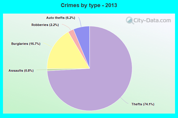 Crimes by type - 2013