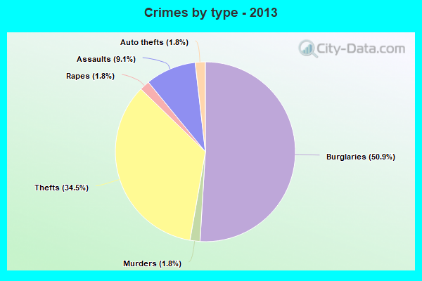 Crimes by type - 2013