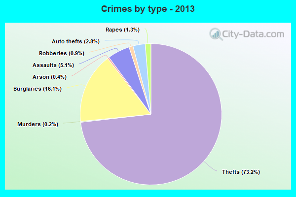 Crimes by type - 2013