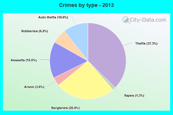 Crimes by type - 2013