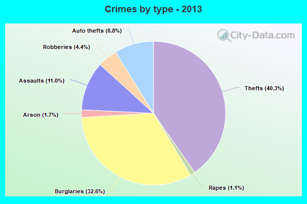 Crimes by type - 2013