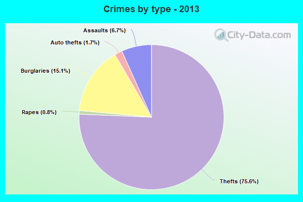 Crimes by type - 2013