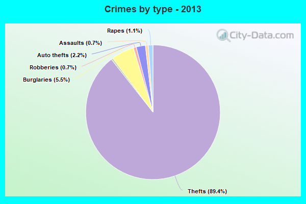 Crimes by type - 2013