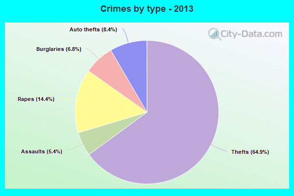 Crimes by type - 2013