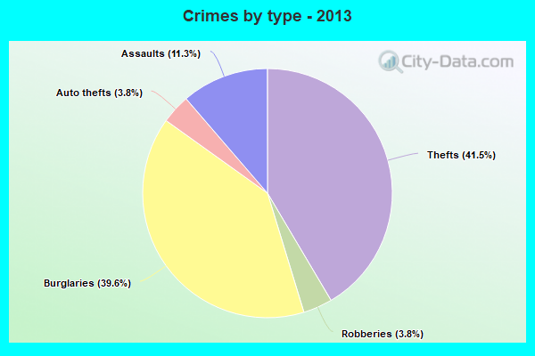 Crimes by type - 2013