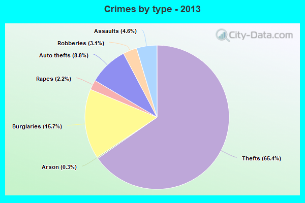 Crimes by type - 2013