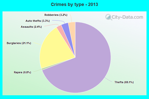 Crimes by type - 2013