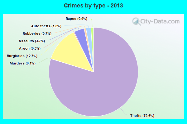 Crimes by type - 2013