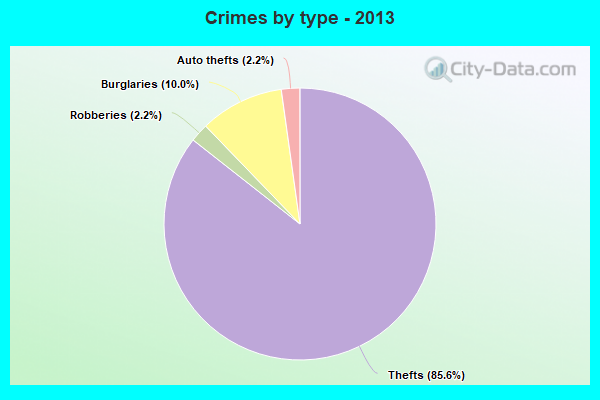 Crimes by type - 2013