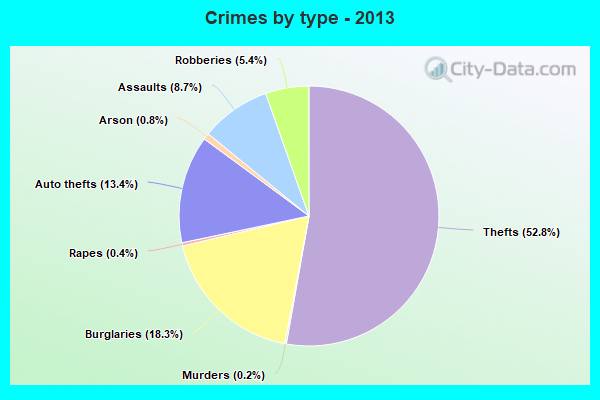 Crimes by type - 2013