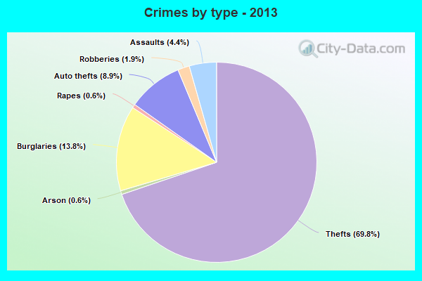 Crimes by type - 2013