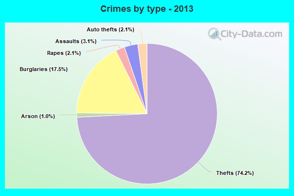 Crimes by type - 2013