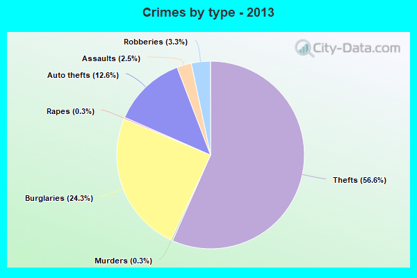 Crimes by type - 2013