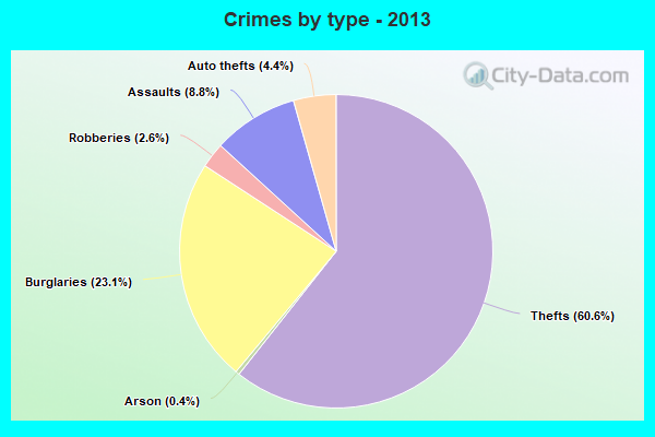 Crimes by type - 2013